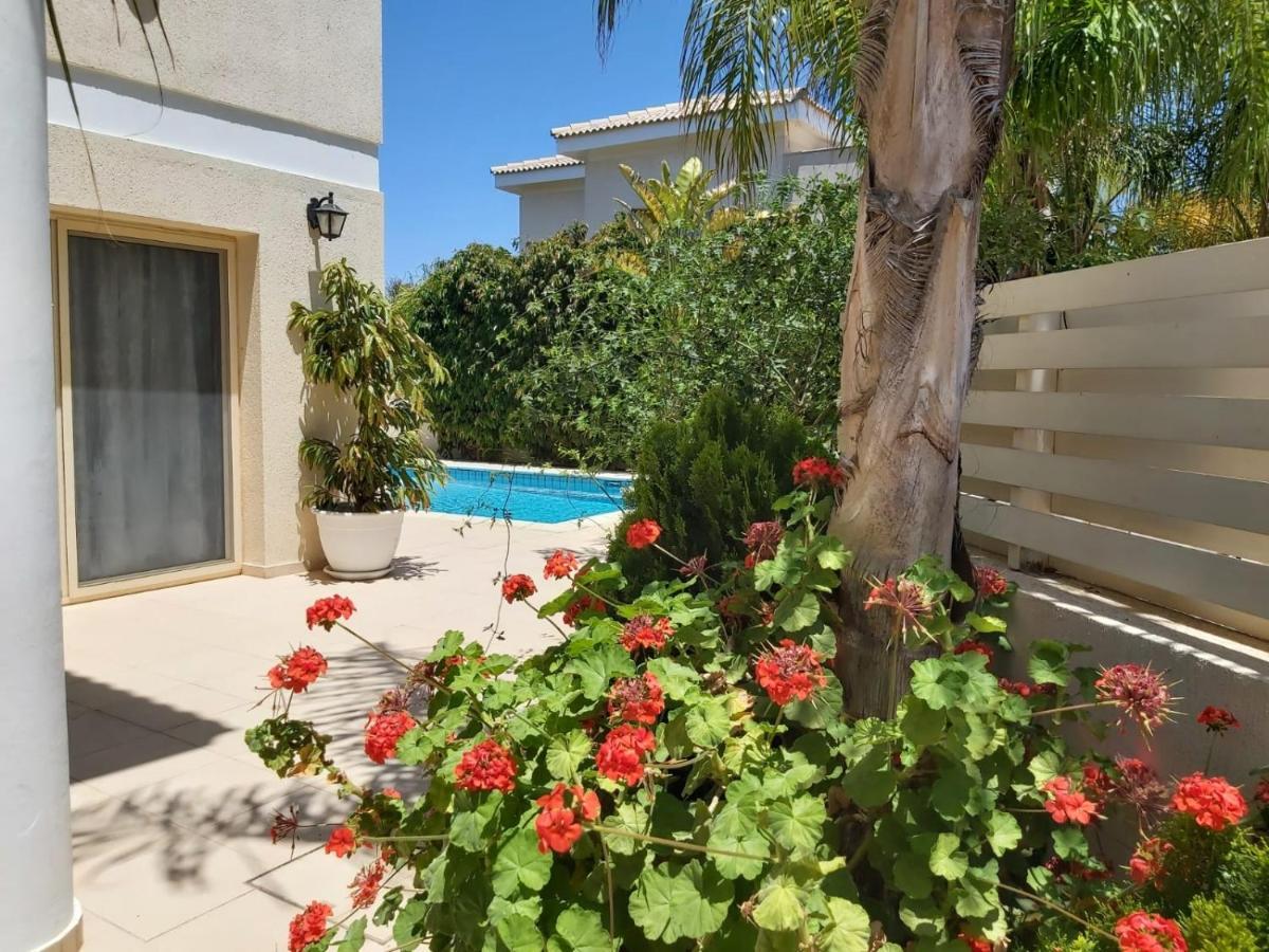 פרוטאראס Anthorina Villa 3 מראה חיצוני תמונה